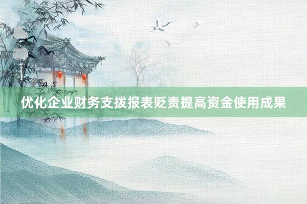 优化企业财务支拨报表贬责提高资金使用成果